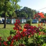 Фотография базы отдыха Marina Týnec n. L. - Kemp