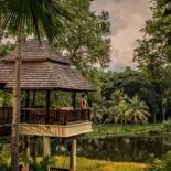 Фотография гостиницы Four Seasons Resort Chiang Mai -SHA Plus