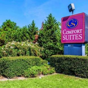 Фотографии гостиницы 
            Comfort Suites Raleigh Walnut Creek