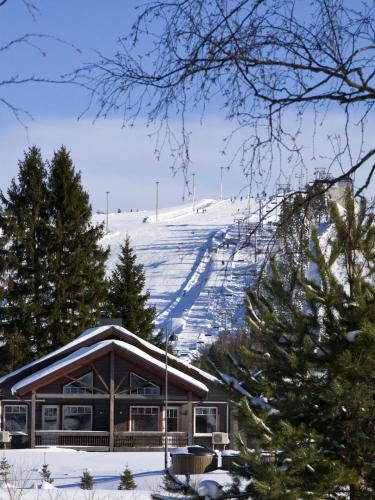 Фотографии гостевого дома 
            Himoshovi Cottages