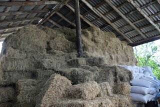 Фотография гостевого дома Aghasu Tun B&B