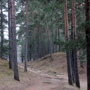 Фотография достопримечательности Парк Культуры и Отдыха