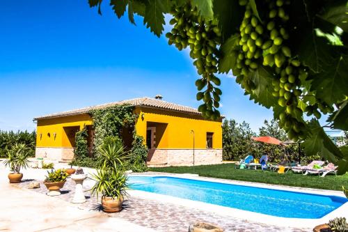 Фотография гостевого дома Villa Lucrecia en Lantejuela Campiña de Sevilla