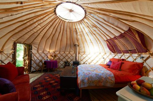 Фотографии базы отдыха 
            Surrey Lakes Glamping