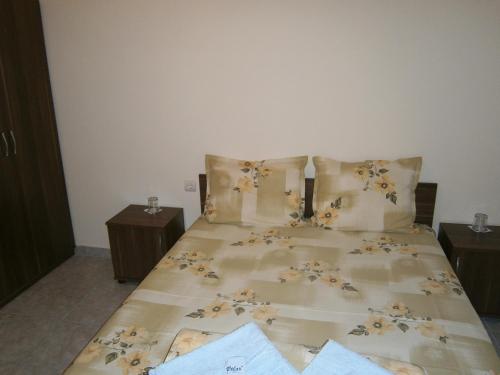 Фотография гостиницы Hotel Rositsa