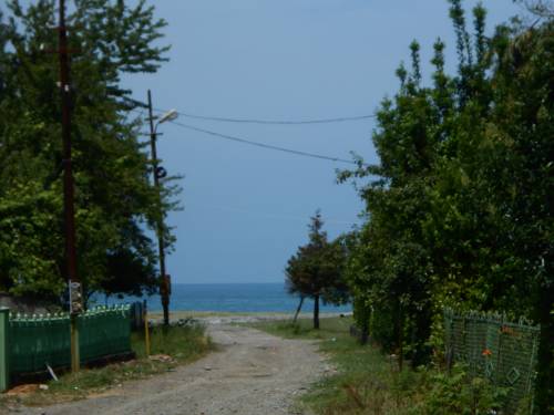 Фотография гостиницы Kobuleti kotteji