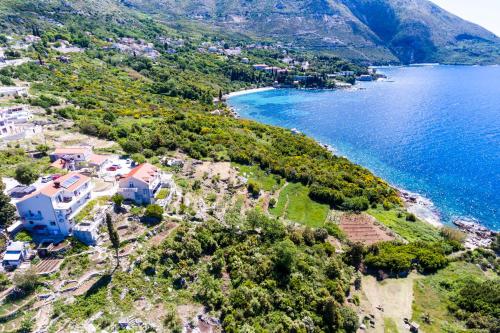 Фотография гостевого дома Guest House Fontana