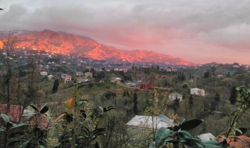 Фотография гостевого дома Guest House Giorgi