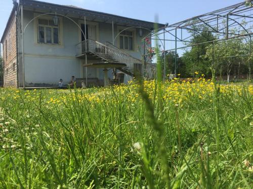 Фотография гостевого дома Kulashi Strawberry House