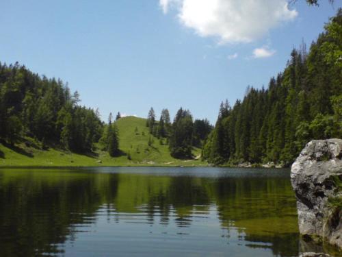 Фотография гостевого дома Gästehaus Flora