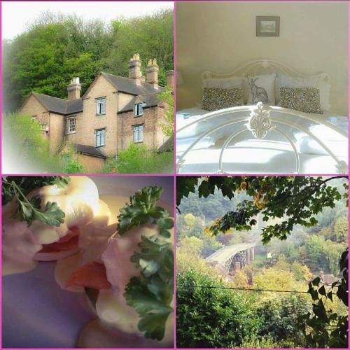 Фотография мини отеля Heritage View Guest House