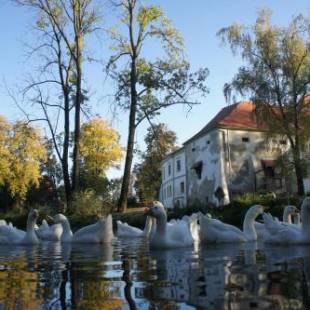 Фотографии гостевого дома 
            Piotrowice Nyskie Palace