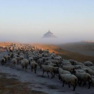 Фотографии гостевого дома
L'Hirondelle