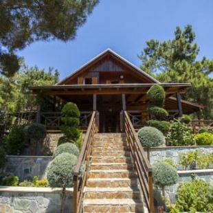 Фотография гостевого дома Ricky Chalet Near Troodos