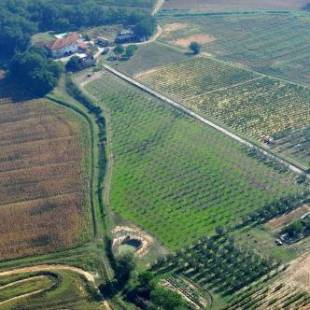 Фотографии базы отдыха 
            Agriturismo Le Baccane