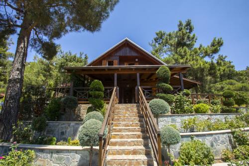 Фотографии гостевого дома 
            Ricky Chalet Near Troodos