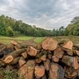 Фотография гостевого дома Domein De Kleine Mote