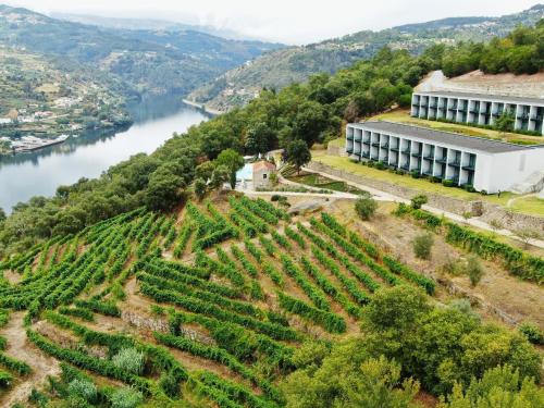 Фотографии гостиницы 
            Douro Palace Hotel Resort & SPA