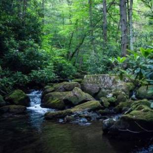 Фотографии базы отдыха 
            Tentrr - Retreat on Bear Creek