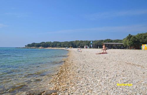 Фотография гостевого дома House Anton