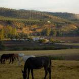 Фотография гостевого дома Casa Rural Asiento del Río