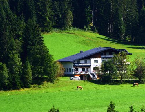 Фотография гостиницы Alpenhof