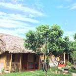 Фотография мини отеля Ninh Binh Bamboo Farmstay