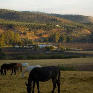 Фотографии гостевого дома 
            Casa Rural Asiento del Río