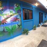 Фотография гостиницы Green Macaw Hostel