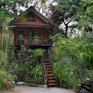 Фотографии гостиницы 
            Khao sok tree house resort