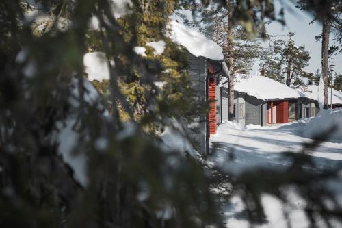 Фотографии гостевого дома 
            Ski-Inn MastonAitio