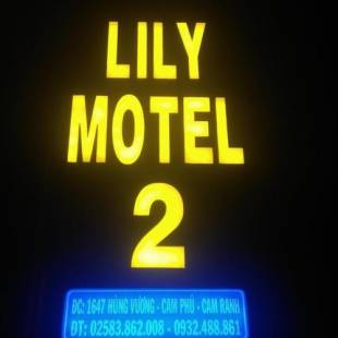 Фотографии мотеля 
            Lily 2 Motel