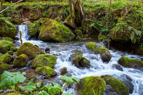 Фотография гостевого дома Nanagulia