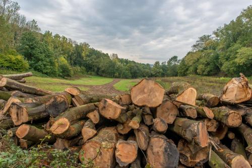 Фотография гостевого дома Domein De Kleine Mote