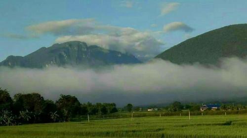 Фотографии базы отдыха 
            Ban Thung Talay Mok Chiangdao