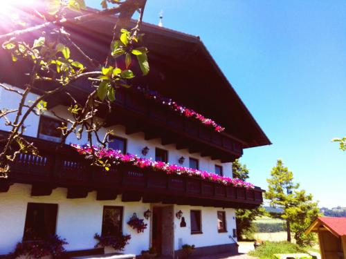 Фотография базы отдыха Schusterbauer