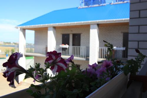 Фотография гостиницы Вилла Азов