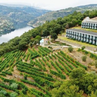 Фотография гостиницы Douro Palace Hotel Resort & SPA