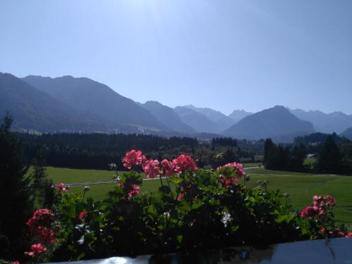 Фотография гостевого дома Berghof Mehlan