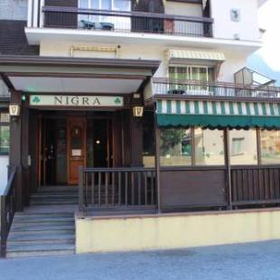 Фотографии гостиницы 
            Pub Hotel Ristorante Nigra