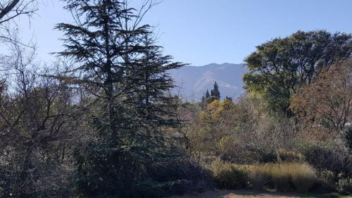 Фотографии гостевого дома 
            Casa de Campo San Javier