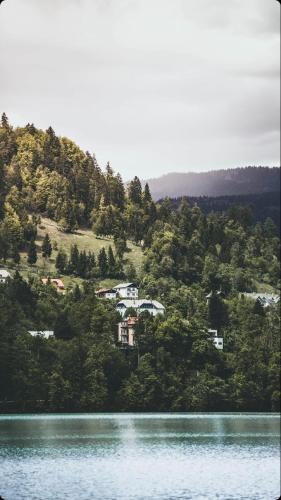 Фотография апарт отеля Rosewood Retreat Bhimtal