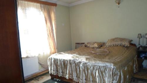 Фотография гостевого дома Guesthouse Surami