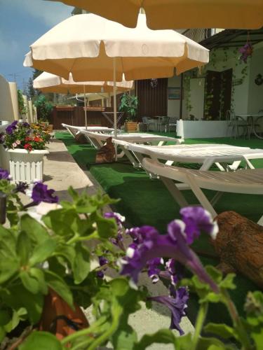 Фотография гостевого дома Волконская Венеция