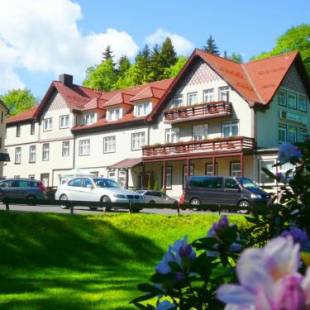 Фотографии гостиницы 
            Waldhotel Friedrichroda