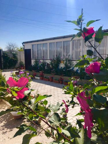 Фотография мини отеля Отдыхайка с нами