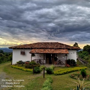 Фотография базы отдыха Hacienda Cafetera La Gaviota