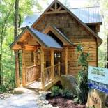 Фотография гостевого дома Out On A Limb Treehouse Cabin