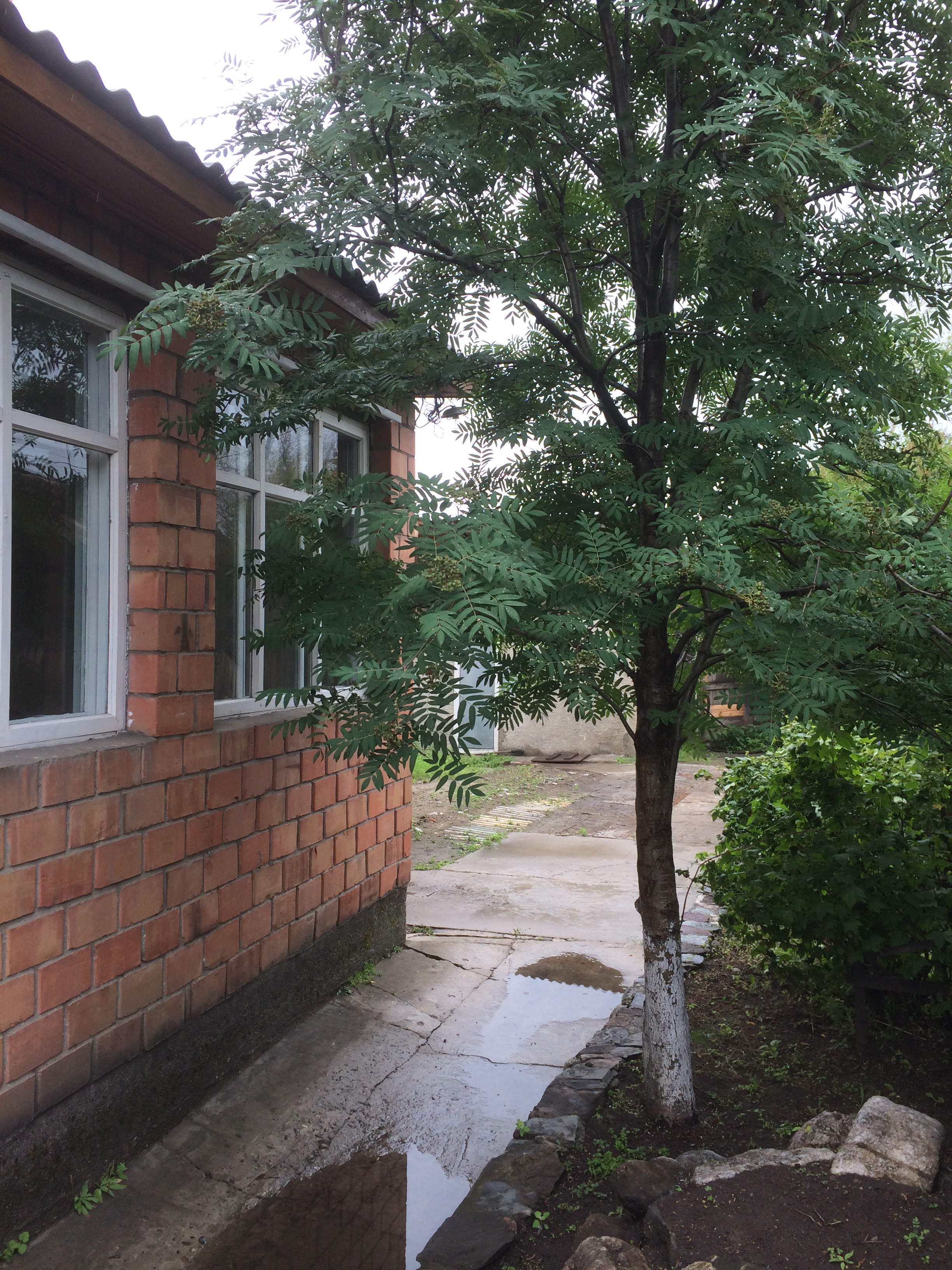 Фотография гостиницы Новый Угахан