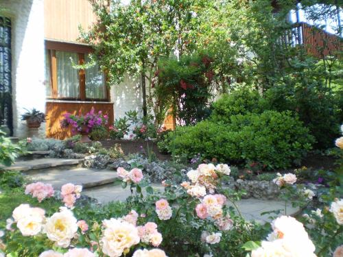 Фотография мини отеля B&B Fontanella